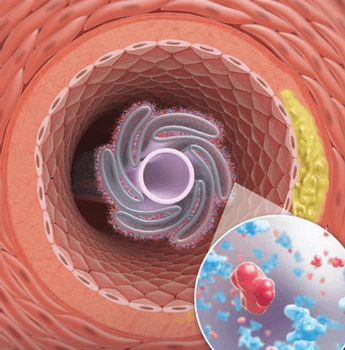 薬剤コーティング